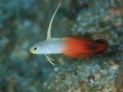 _CrOT[rXKAIZIN̎ʐ^3