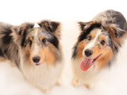 ʐ^X^WI@AgGEN[̎ʐ^4