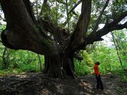 �O��l�C�`���[�c�A�[mahana�̎ʐ^3