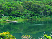 �O��l�C�`���[�c�A�[mahana�̎ʐ^2