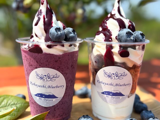 �����̃u���[�x���[���g�����h�����N���X�C�[�c_���ъό��u���[�x���[��