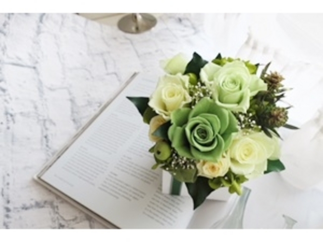 �T�����h�N�[���@�s��