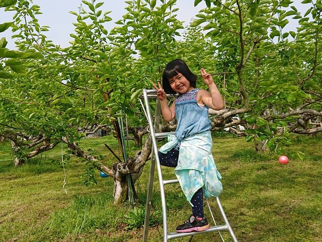 �M�����ʎ���