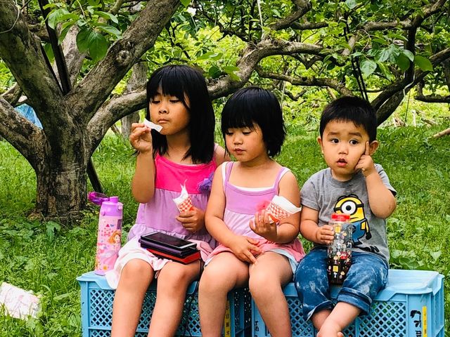 �M�����ʎ���