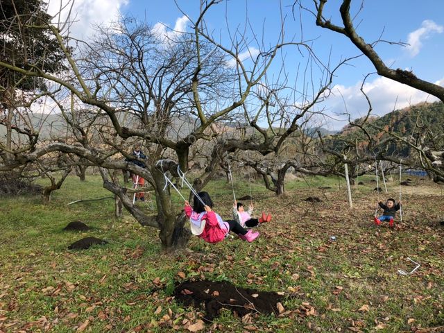 �M�����ʎ���