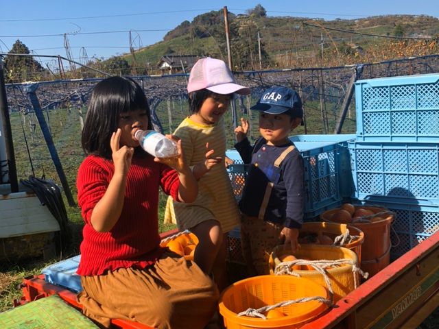 �M�����ʎ���