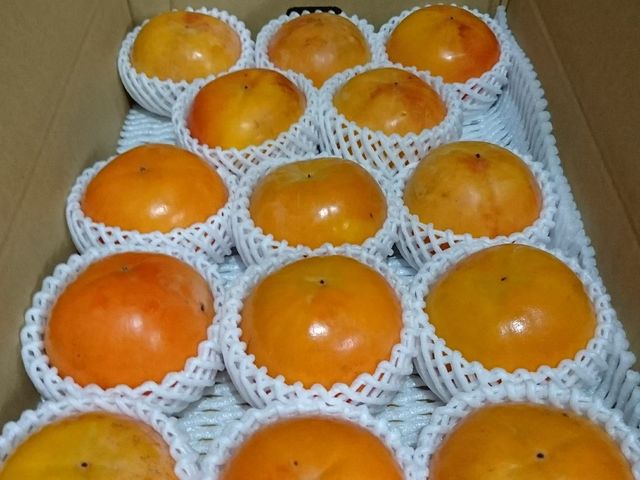 �M�����ʎ���