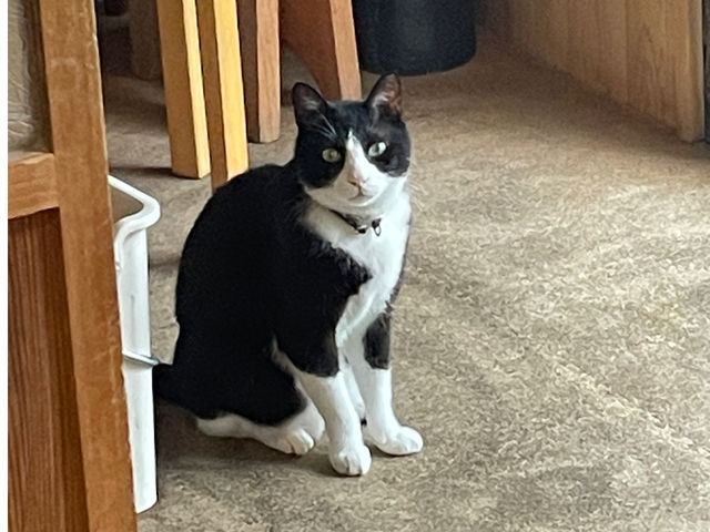 �ŔL�̟��΁B�L�����̘H�n���ό��ے��ł��I_���H�[�@���y