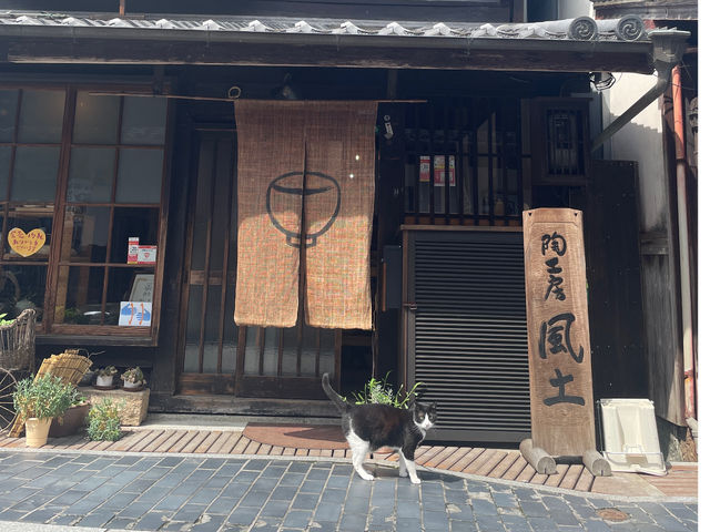 ���A���������A���ł����ł����H_���H�[�@���y