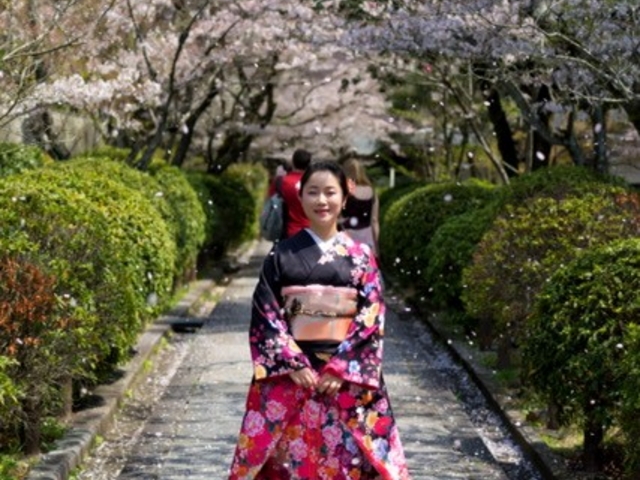 ���������^�������@�G�ی܏�{�X