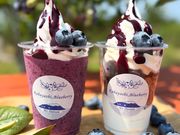 ���ъό��u���[�x���[���̎ʐ^3