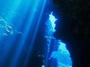 Ί__CrO@GLOBAL@DIVEiO[o_Cuj̎ʐ^3