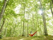 ���ّ���v�����X�z�e���̎ʐ^2