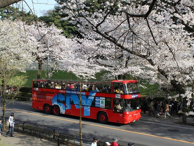 2�K���ăI�[�v���o�X�w�X�J�C�o�X�x�E�������p�o�X�w�X�J�C�_�b�N�x