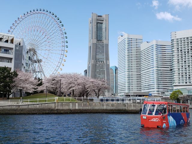 2�K���ăI�[�v���o�X�w�X�J�C�o�X�x�E�������p�o�X�w�X�J�C�_�b�N�x