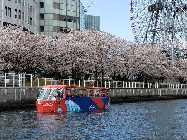 2�K���ăI�[�v���o�X�w�X�J�C�o�X�x�E�������p�o�X�w�X�J�C�_�b�N�x