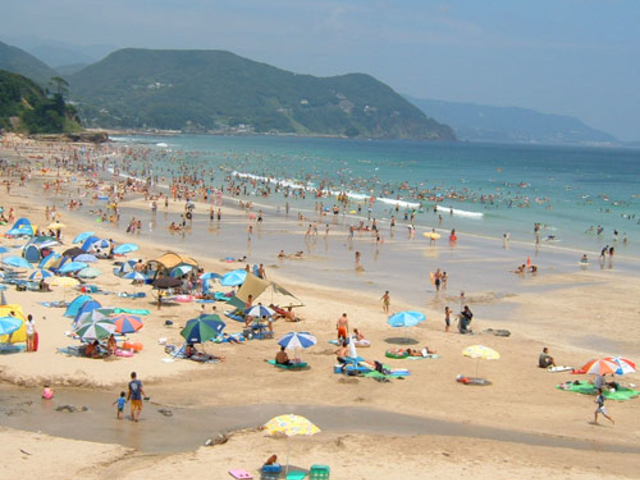 ���c�s�ɂ�9�̔������l�Ɍb�܂�Ă��܂��B�����͖����̉ԁX�ɗǂ��e����^���Ă���l�ł��B�{�݂����1�L�����ƊC�̋߂��ɂ���܂�
_���c�݂΂�