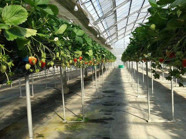 ׂčݍ͔|ŁAꂸył܂B_i`I̗