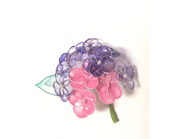saba's hearts