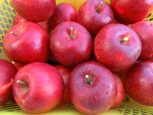 ���v����񂲌��c�@���c��񂲉�