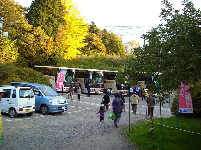 ���v����񂲌��c�@���c��񂲉�