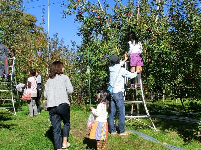 ���v����񂲌��c�@���c��񂲉�