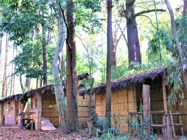 �_���n�уG���A1_�T�o�C�o���Q�[���t�B�[���h�wyaNex�x