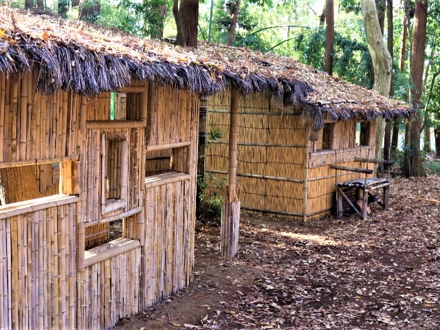 �_���n�уG���A2_�T�o�C�o���Q�[���t�B�[���h�wyaNex�x