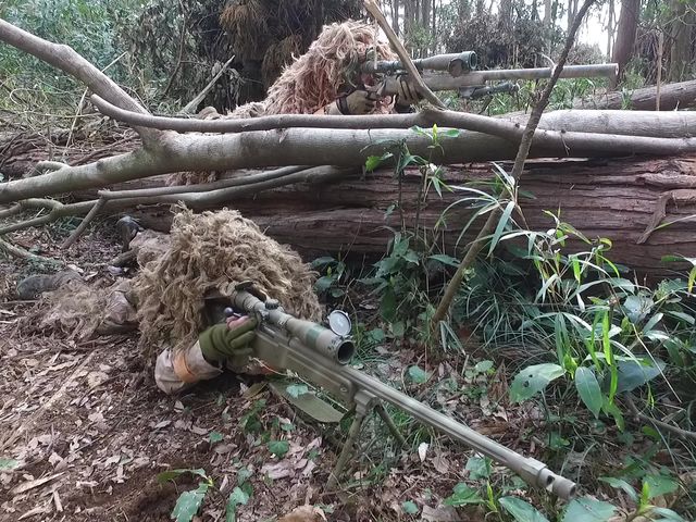 �W�����O���G���A3_�T�o�C�o���Q�[���t�B�[���h�wyaNex�x