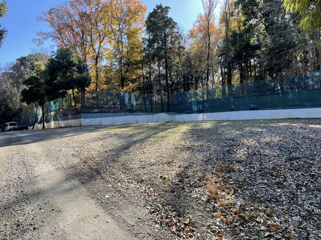 ���ԏ�2_�T�o�C�o���Q�[���t�B�[���h�wyaNex�x