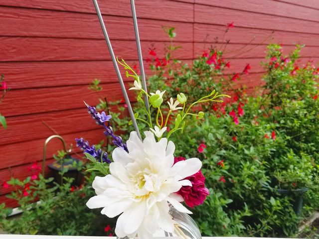 ����̓X�T����