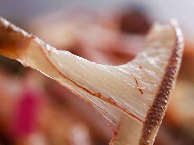 ���{�[�z�S�I�̉���h�@�O���\��