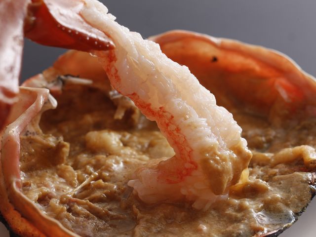 ���{�[�z�S�I�̉���h�@�O���\��