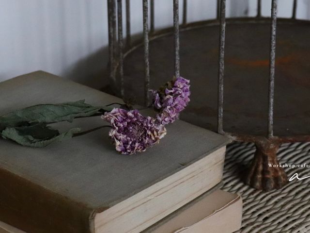 �X��_Workshop cafe ally