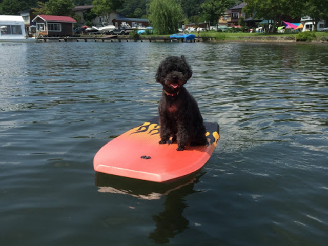 �䂪�Ƃ̃R�n�N������B�B_��K�΁@�{�엷��