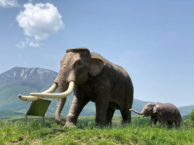 ��K�΂͓����Ƀi�E�}���ۂ��ڈ�_��K�΁@�{�엷��