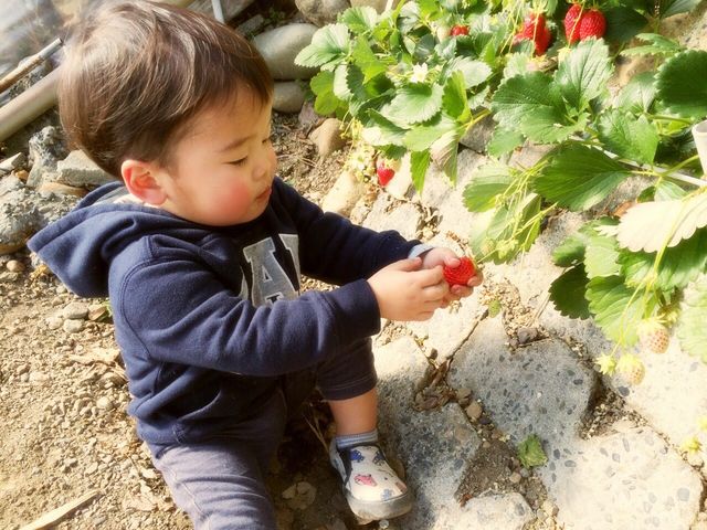 �T�N�U�_��