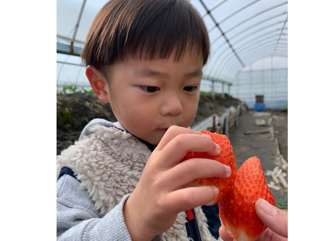 �T�N�U�_��