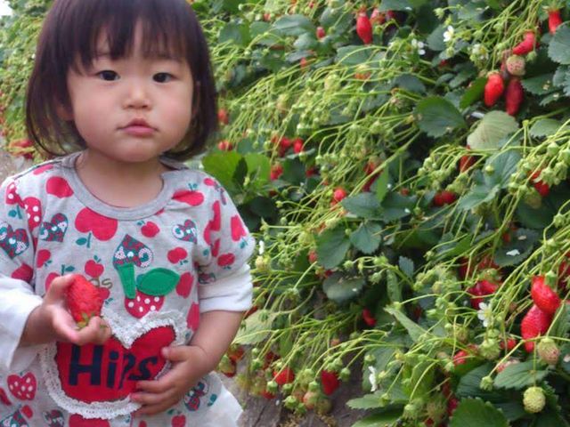 �T�N�U�_��