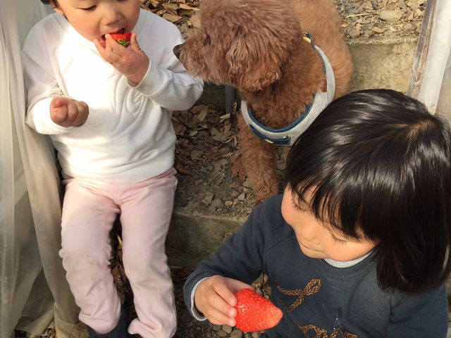 �T�N�U�_��