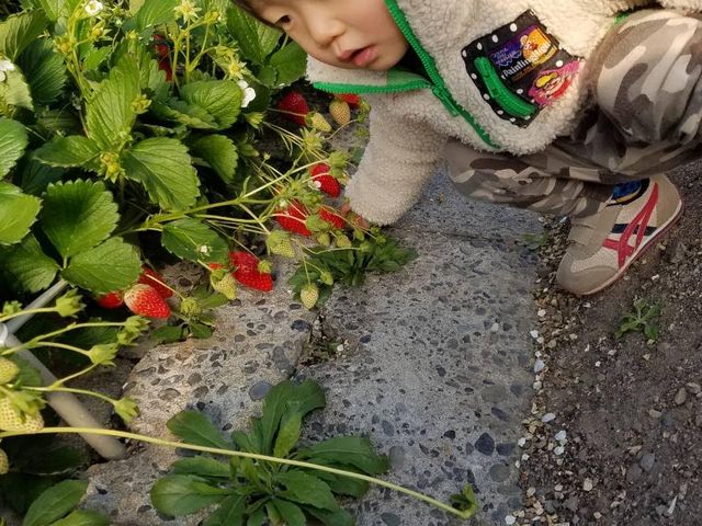 �T�N�U�_��