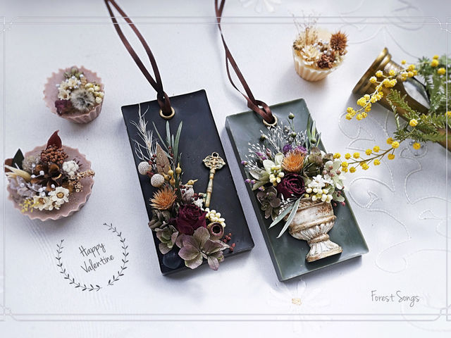 Forest�@Songs �`silva sanitatem