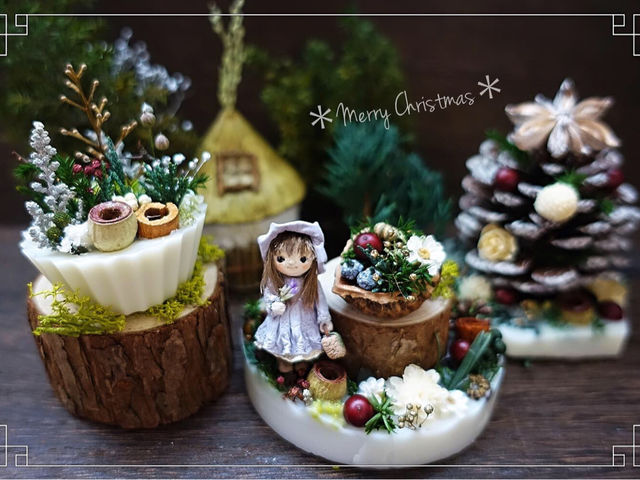 Forest�@Songs �`silva sanitatem