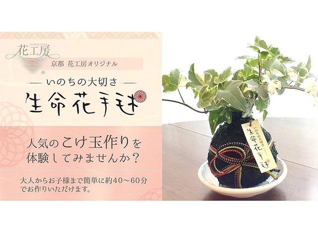�O�F�̕R�ŋ��s�炵����{���Ƀf�U�C�����܂�_�t�����[�V���b�v�@�ԍH�[