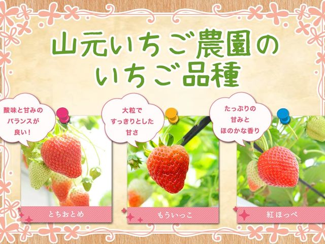 �{�錧�i����ɂ��ɂ��x���[�������������_�R���������_��