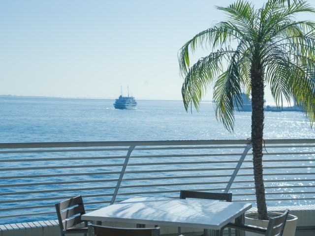 �_�˃����P���p�[�N�I���G���^���z�e��