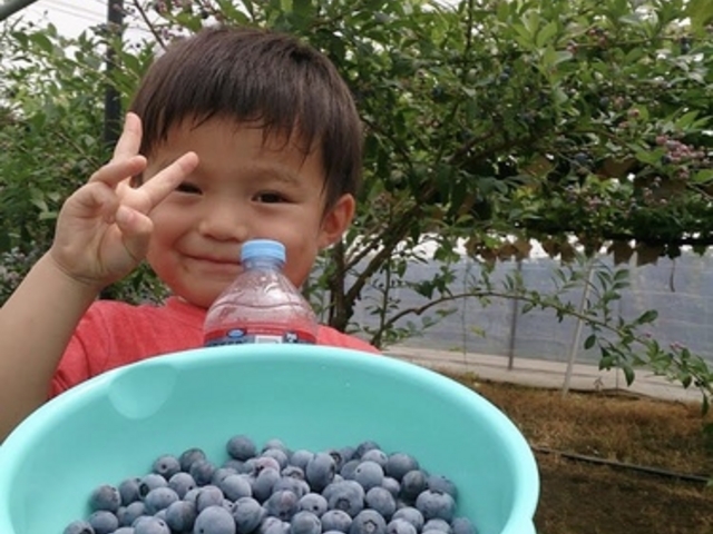 �܌��ʎ���