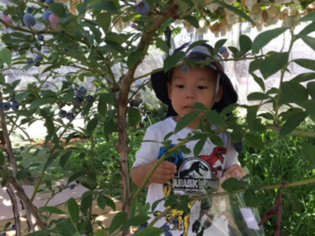 �܌��ʎ���