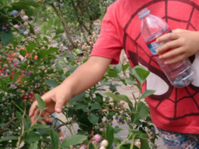 �܌��ʎ���