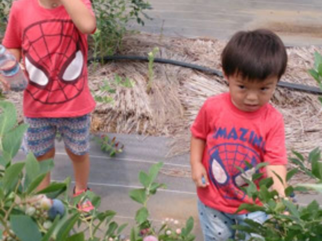 �܌��ʎ���